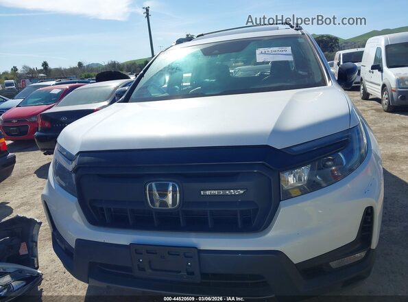 5FNYF8H6XRB019386 2024 HONDA PASSPORT Белый Вид щитка приборов