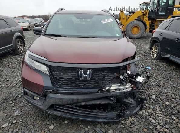 5FNYF8H97MB029313 2021 HONDA PASSPORT Burgundy Widok z przodu