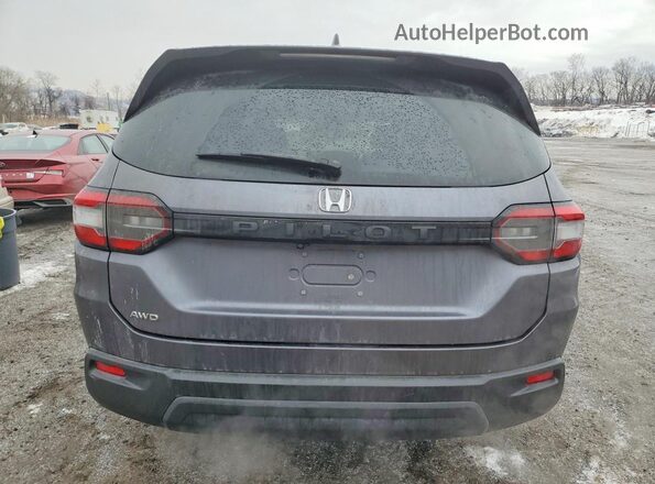 5FNYG1H22PB028128 2023 HONDA PILOT Серый Вид сзади