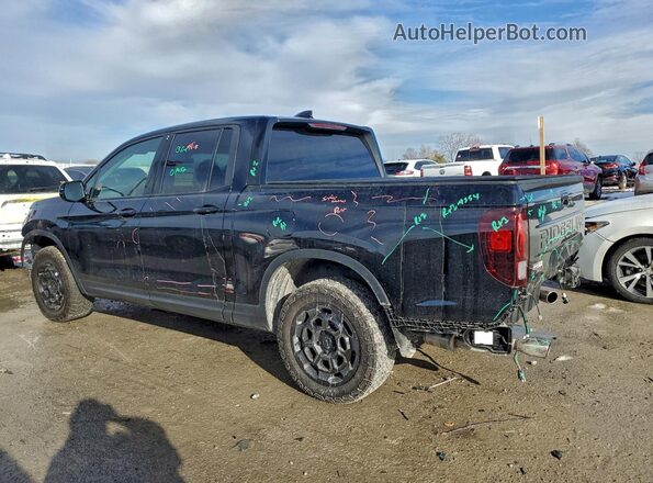 5FPYK3F24SB020433 2025 HONDA RIDGELINE Черный Задняя левая четверть