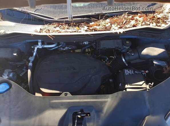 5FPYK3F51PB056534 2023 HONDA RIDGELINE Синий Вид задней части салона
