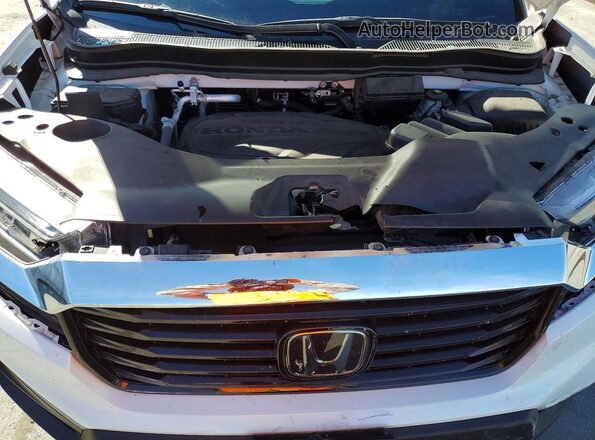 5FPYK3F70PB008220 2023 HONDA RIDGELINE Белый Вид задней части салона