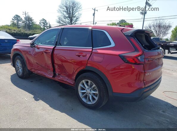5J6RS3H40SL007309 2025 HONDA CR-V Красный Задняя левая четверть