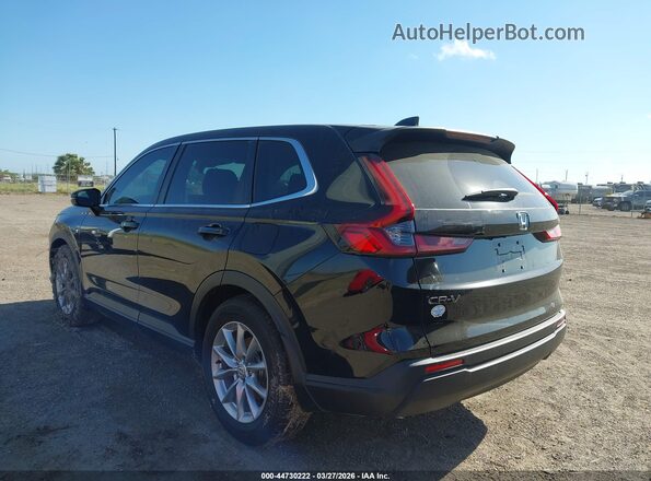 5J6RS3H44TL007783 2026 HONDA CR-V Черный Задняя левая четверть