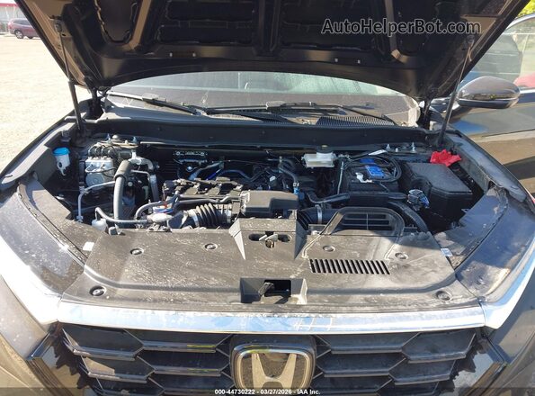 5J6RS3H44TL007783 2026 HONDA CR-V Черный Вид сзади