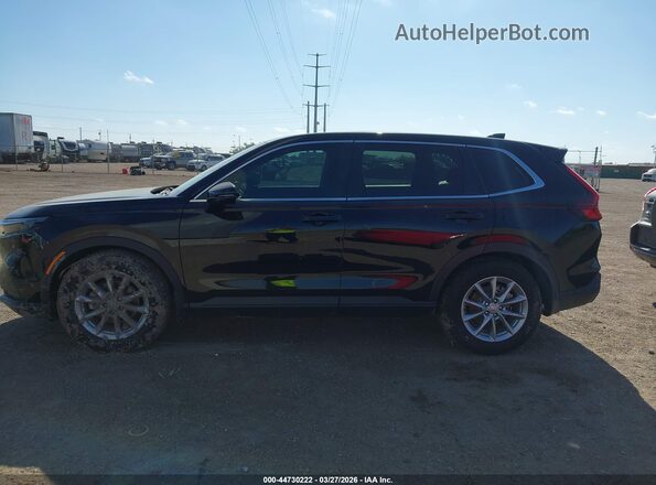 5J6RS3H44TL007783 2026 HONDA CR-V Черный Вид задней части салона