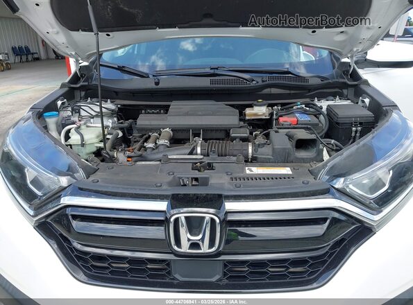 5J6RW1H71ML009821 2021 HONDA CR-V Белый Вид сзади