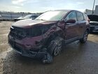 2019 Honda Cr-v Exl Burgundy vin: 5J6RW2H83KL030147