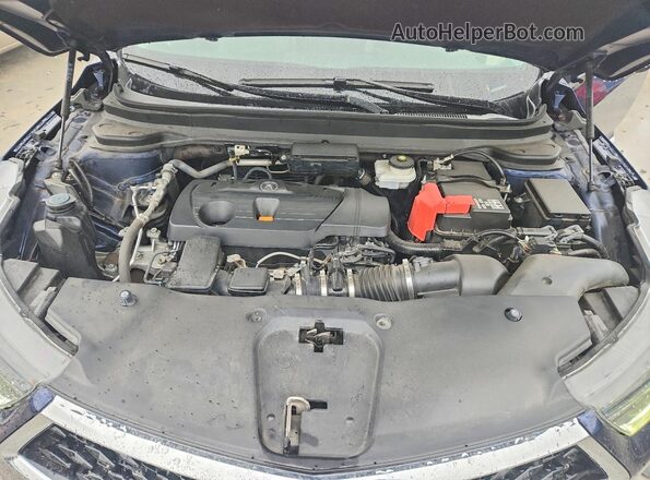 5J8TC1H51PL007463 2023 ACURA RDX Blue Вид задньої частини салону