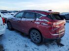 2019 Acura Rdx Technology Red vin: 5J8TC1H55KL022802