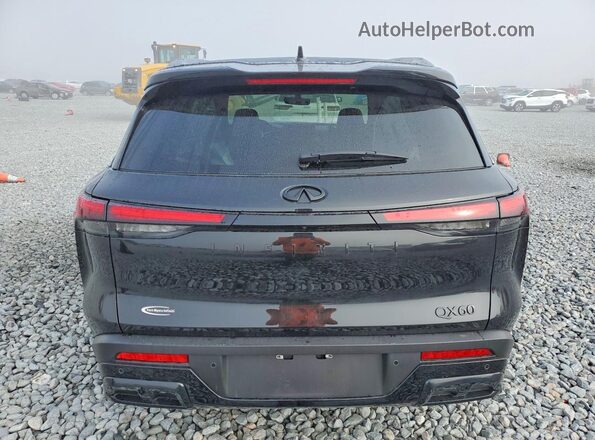 5N1AL1FR3SC359735 2025 INFINITI QX60 Черный Вид сзади