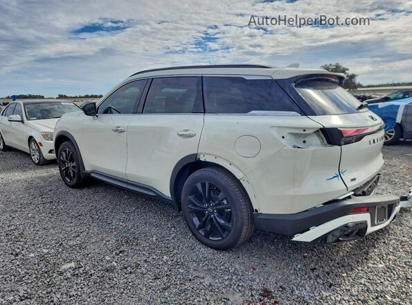 5N1AL1FS5SC343748 2025 INFINITI QX60 White Tył lewy