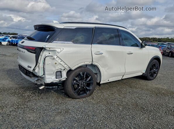 5N1AL1FS5SC343748 2025 INFINITI QX60 White Tył prawy