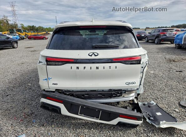 5N1AL1FS5SC343748 2025 INFINITI QX60 White Widok z tyłu