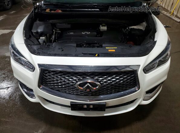 5N1DL0MM1KC501823 2019 INFINITI QX60 Белый Вид задней части салона