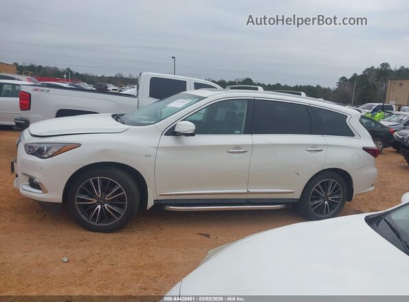 5N1DL0MM4KC511391 2019 INFINITI QX60 White Widok wnętrza z tyłu