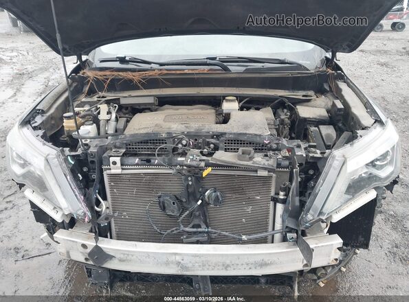 5N1DR2MN2KC612223 2019 NISSAN PATHFINDER Green Widok z tyłu