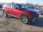 2025 Hyundai Tucson Se Burgundy vin: 5NMJACDE6SH578499