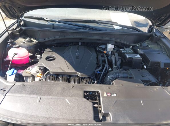 5NMJB3DE5SH444841 2025 HYUNDAI TUCSON Черный Вид сзади