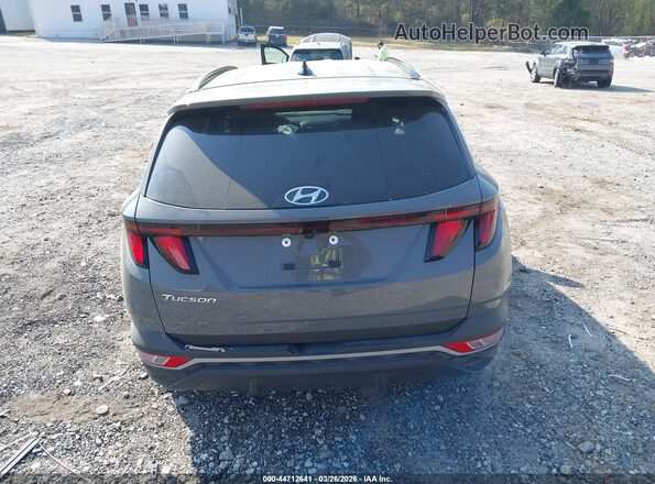 5NMJB3DE7RH339342 2024 HYUNDAI TUCSON Серый 