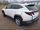 2023 Hyundai Tucson Sel Белый vin: 5NMJBCAE3PH188968