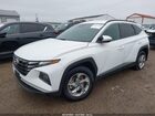 2023 Hyundai Tucson Sel Белый vin: 5NMJBCAE3PH188968