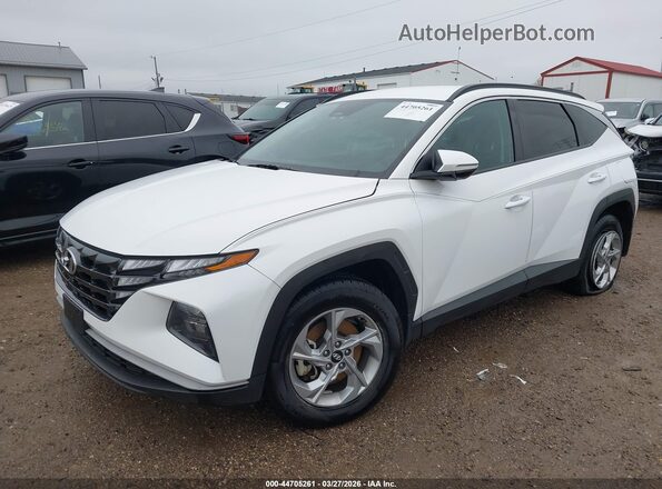 5NMJBCAE3PH188968 2023 HYUNDAI TUCSON Белый Передняя левая четверть