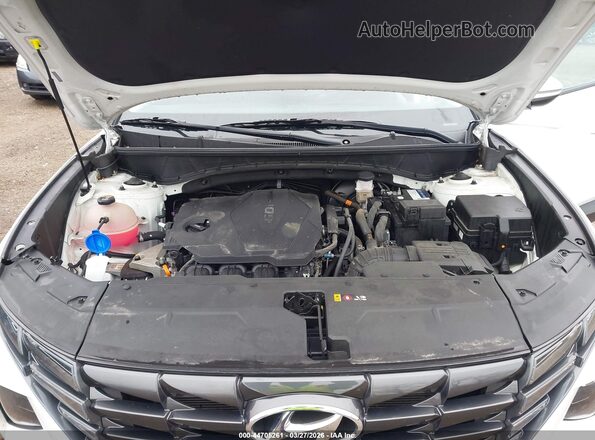 5NMJBCAE3PH188968 2023 HYUNDAI TUCSON Белый Вид сзади