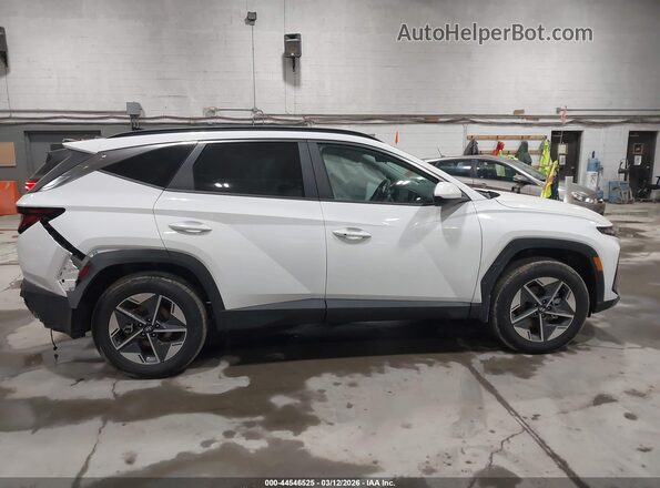 5NMJBCDE2TH607804 2026 HYUNDAI TUCSON Белый Вид задней части салона
