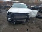 2024 Hyundai Tucson Sel White vin: 5NMJBCDEXRH400604
