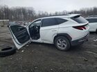 2024 Hyundai Tucson Sel White vin: 5NMJBCDEXRH400604