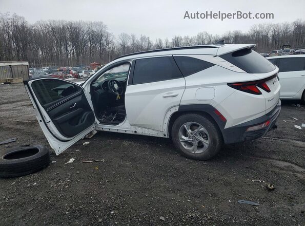 5NMJBCDEXRH400604 2024 HYUNDAI TUCSON White Trasero izquierdo