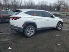 2024 Hyundai Tucson Sel White vin: 5NMJBCDEXRH400604