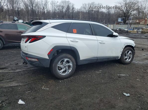 5NMJBCDEXRH400604 2024 HYUNDAI TUCSON White Trasero derecho