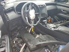 2024 Hyundai Tucson Sel White vin: 5NMJBCDEXRH400604