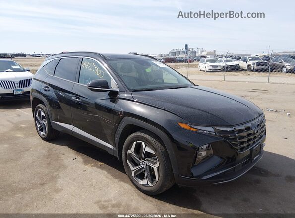 5NMJECAE8PH244930 2023 HYUNDAI TUCSON Черный Передняя правая четверть