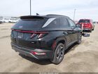 2023 Hyundai Tucson Limited Черный vin: 5NMJECAE8PH244930 2023 Hyundai Tucson Limited Черный vin: 5NMJECAE8PH244930