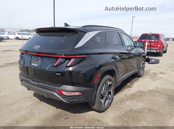 5NMJECAE8PH244930 2023 HYUNDAI TUCSON Черный Задняя правая четверть