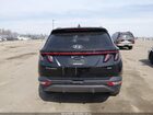 2023 Hyundai Tucson Limited Черный vin: 5NMJECAE8PH244930 2023 Hyundai Tucson Limited Черный vin: 5NMJECAE8PH244930