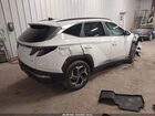 2024 Hyundai Tucson Sel Белый vin: 5NMJFCDE4RH296373