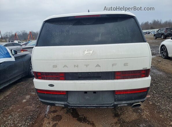 5NMP1DGLXRH002421 2024 HYUNDAI SANTA Белый Вид сзади