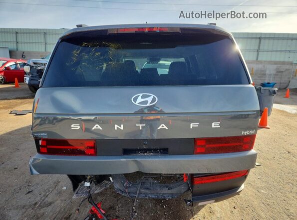 5NMP24G19TH076058 2026 HYUNDAI SANTA Gray Вид ззаду
