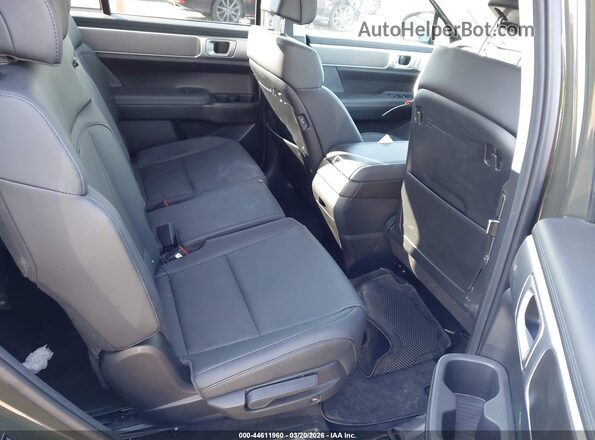 5NMP2DG16SH042402 2025 HYUNDAI SANTA FE HYBRID Зеленый Вид наклейки с VIN-кодом