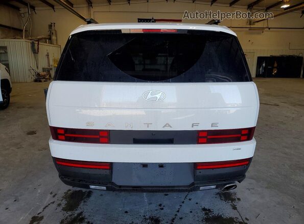 5NMP2DGLXSH137515 2025 HYUNDAI SANTA Белый Вид сзади