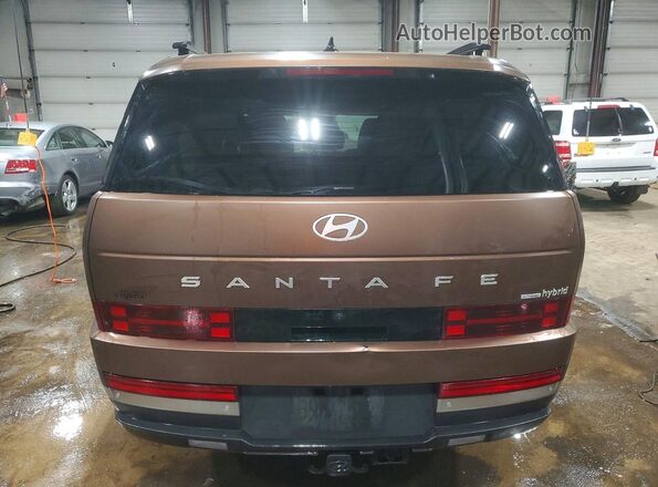 5NMP3DG13RH004035 2024 HYUNDAI SANTA Brown Вид ззаду