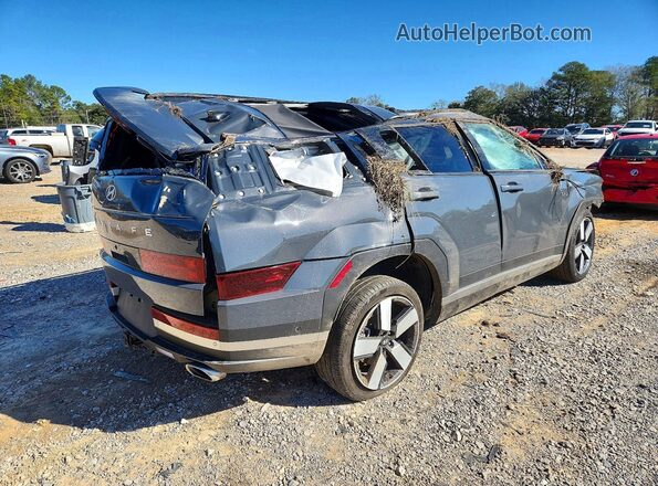 5NMP44GL0SH082907 2025 HYUNDAI SANTA Gray Задня права чверть