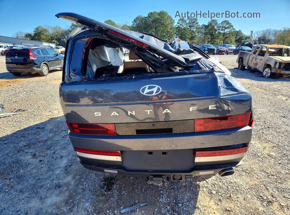 5NMP44GL0SH082907 2025 HYUNDAI SANTA Gray Вид ззаду
