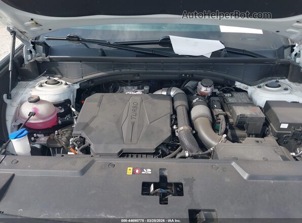 5NMP44GL6SH094978 2025 HYUNDAI SANTA FE White უკანა ხედი