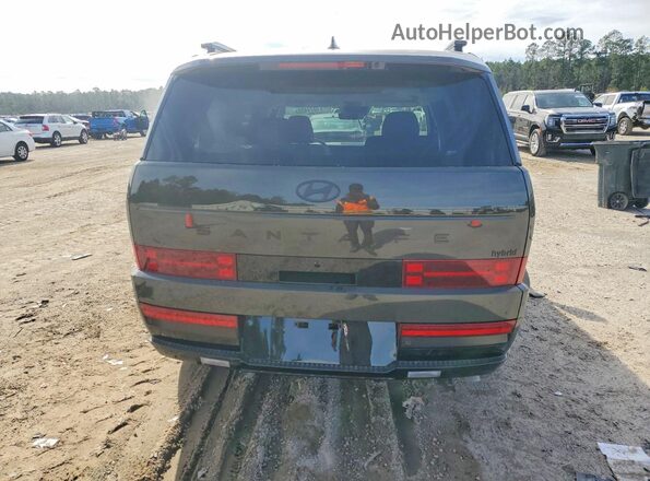 5NMP54G15TH086707 2026 HYUNDAI SANTA FE CALLIGRAPHY Green Widok z tyłu