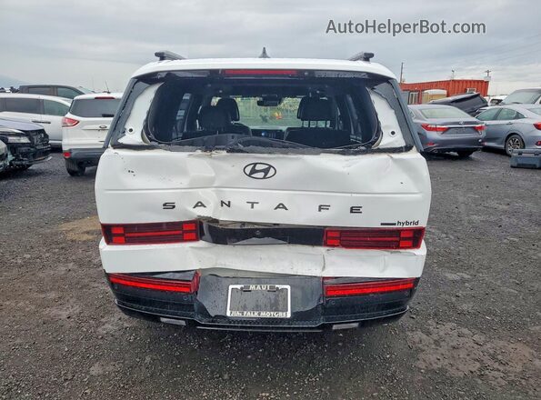 5NMP5DG10SH017518 2025 HYUNDAI SANTA Белый Вид сзади